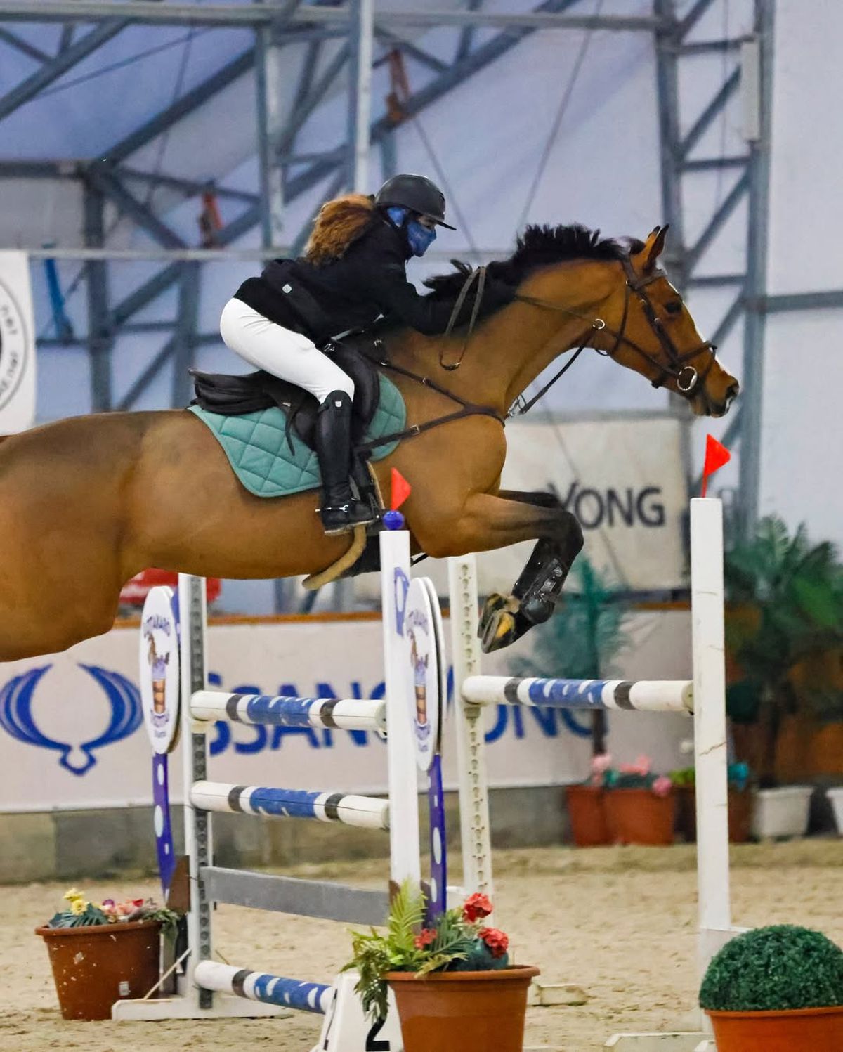 Daria Copos echitație concursuri, fiica lui George Copos