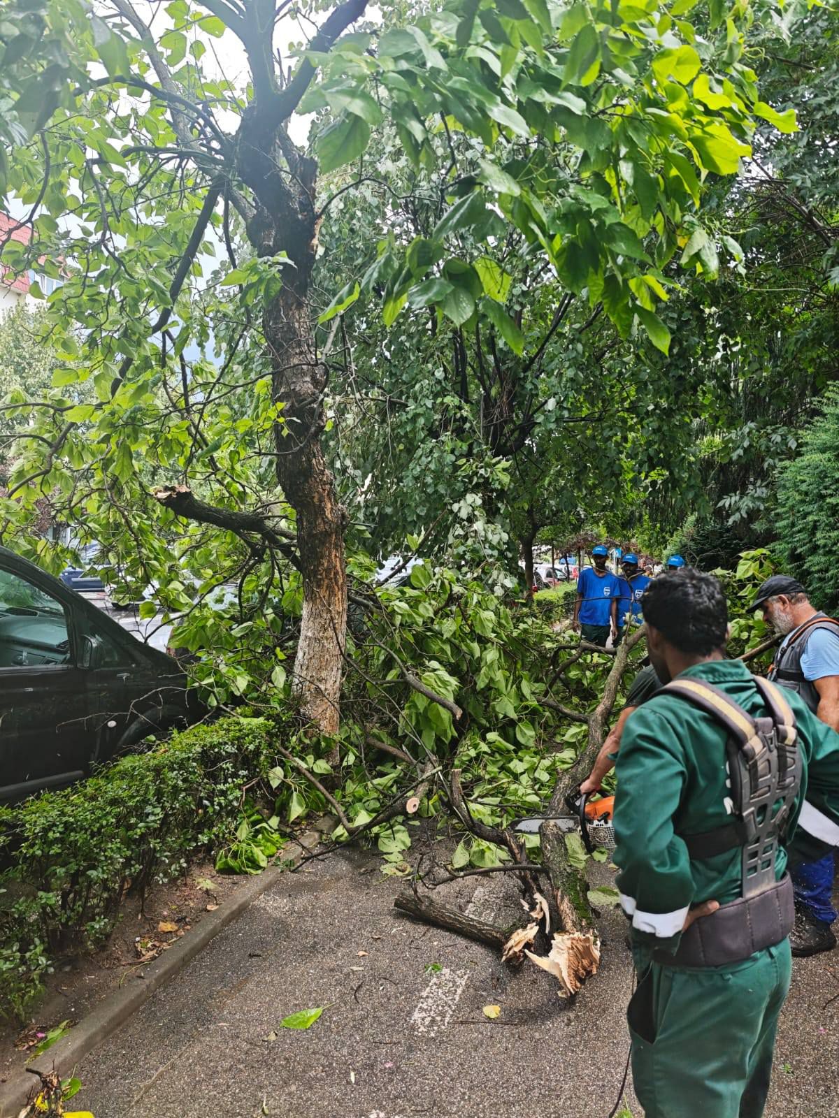 Dezastru în Mioveni, după furtună