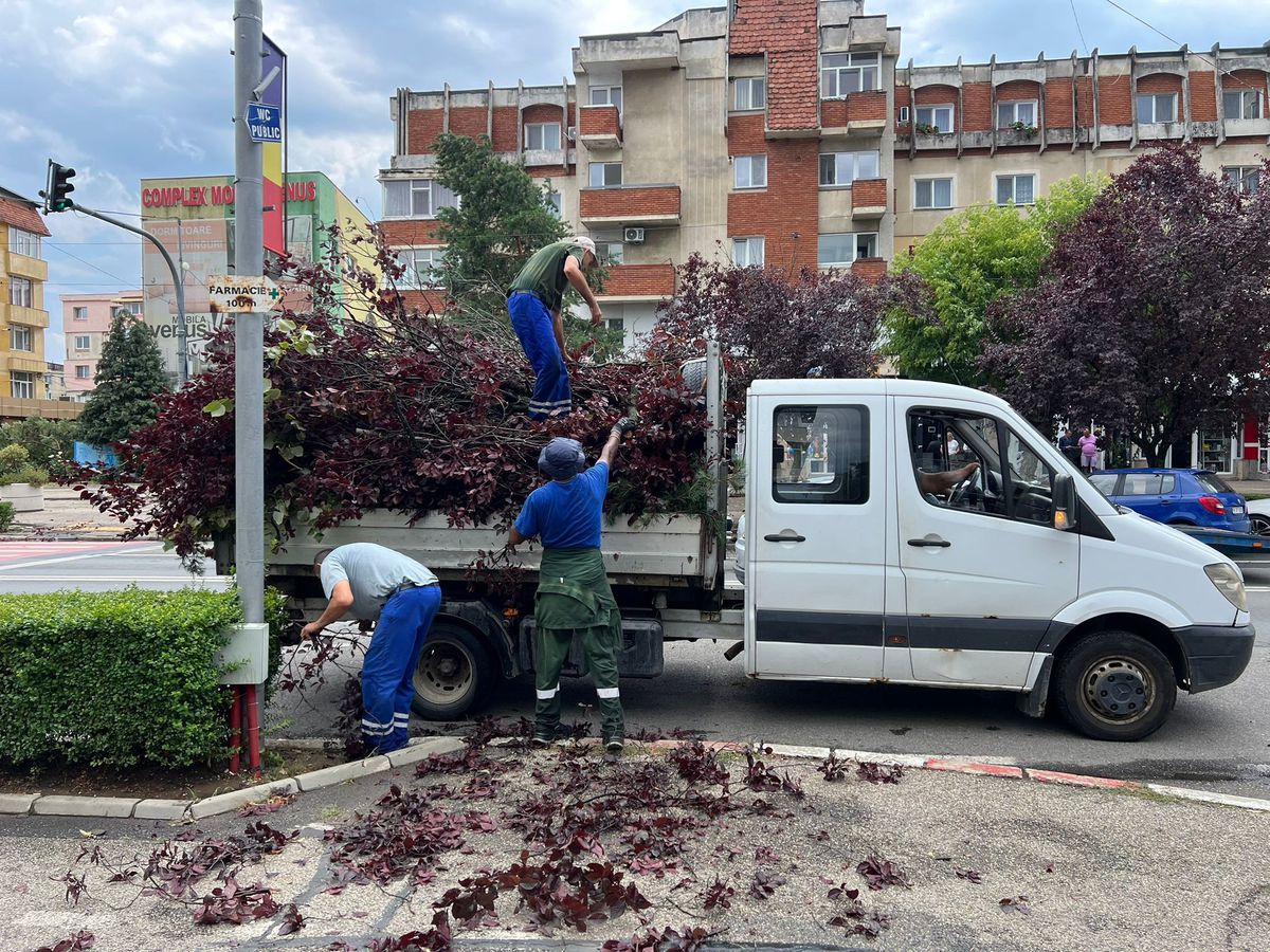 Dezastru în Mioveni, după furtună