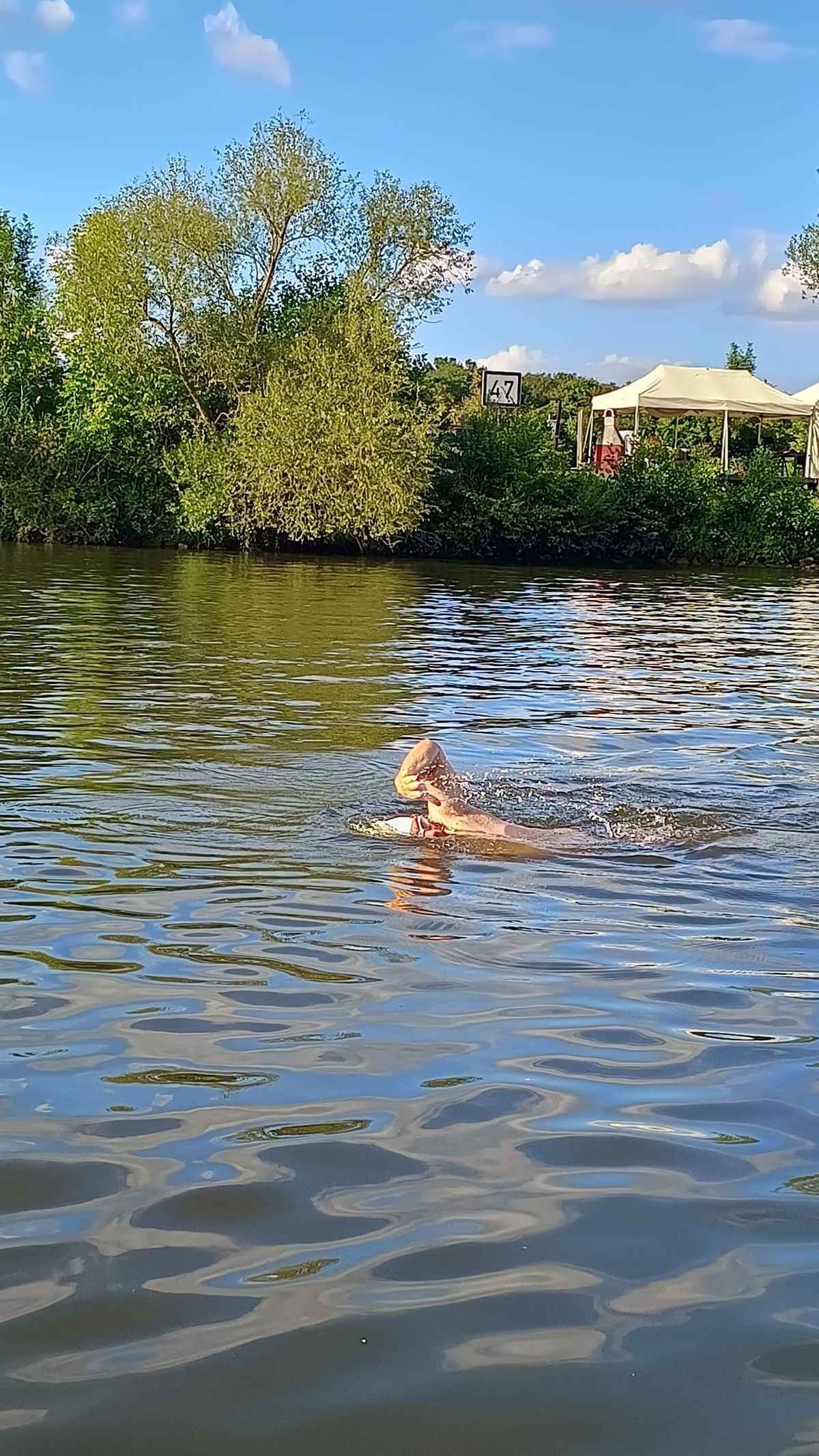 „Am reușit să traversez înot întreaga Europă! Primul din lume!” » Avram Iancu, imediat după ce a scris istorie: „Le cer iertare fetelor mele”