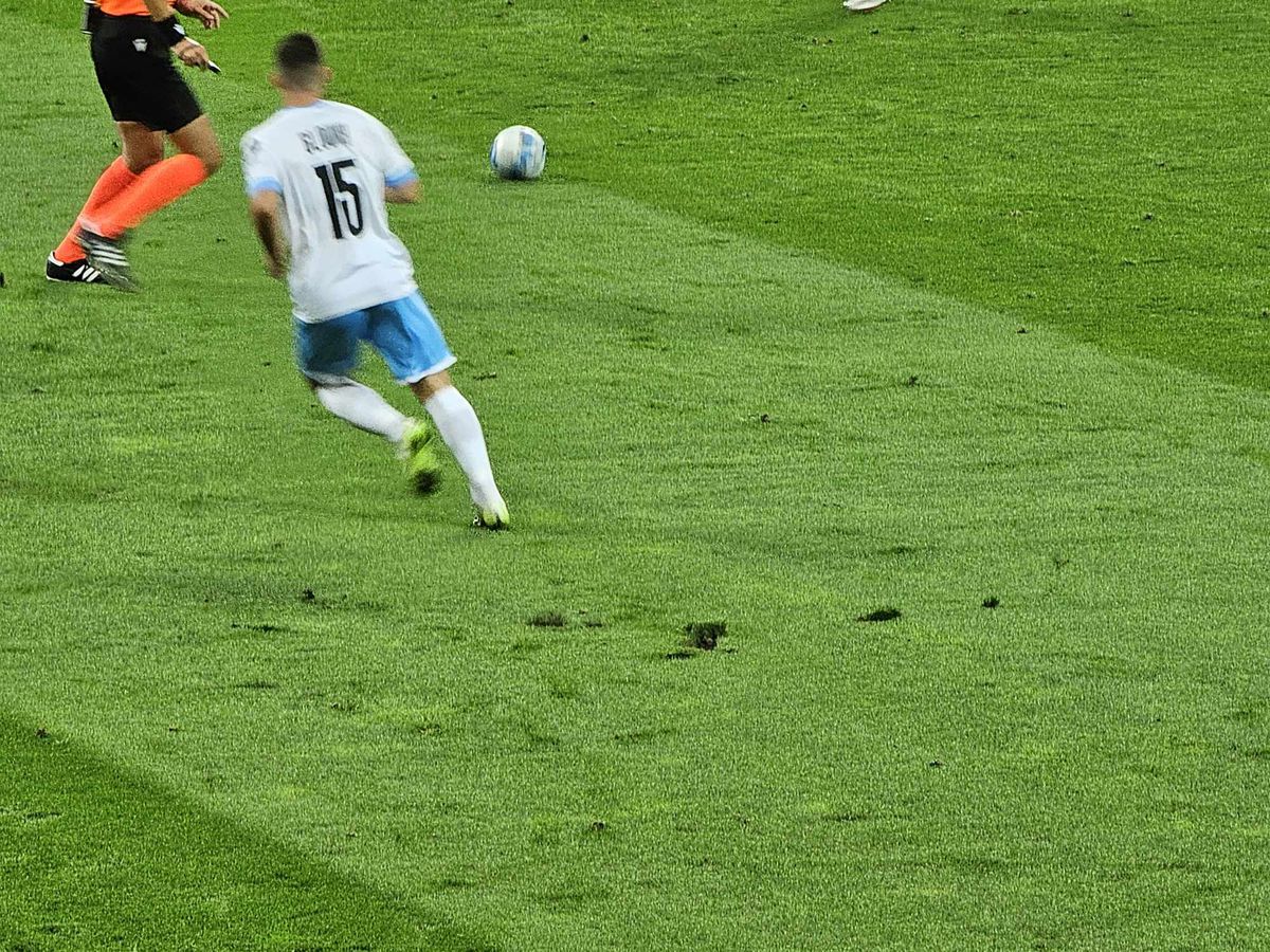 România - Israel » Gazon Arena Națională