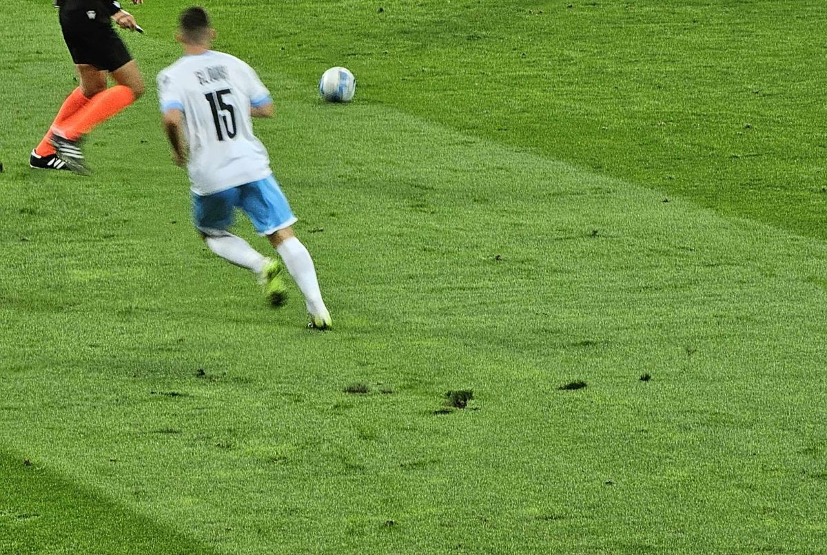 Nu arată bine » Gazonul de pe Arena Națională suferă, după o vară antifotbal