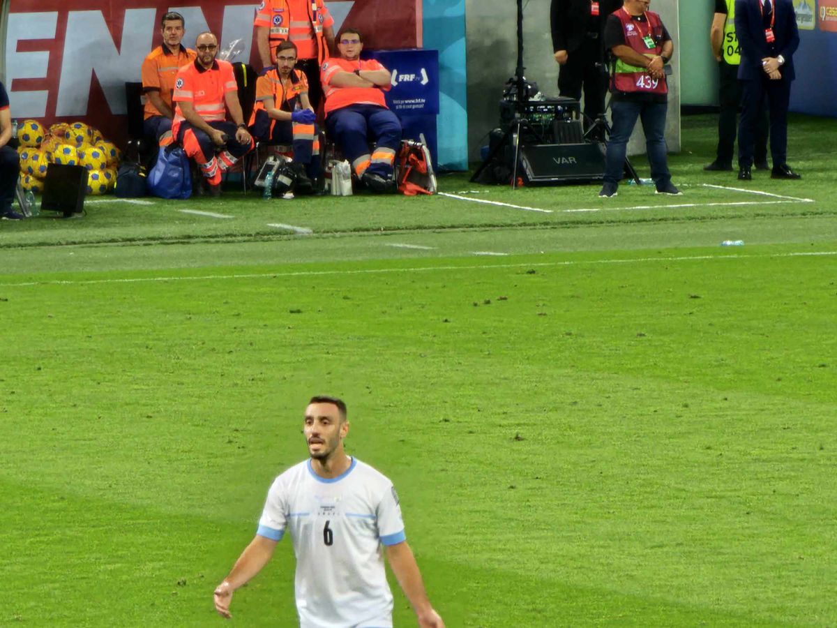 România - Israel » Gazon Arena Națională