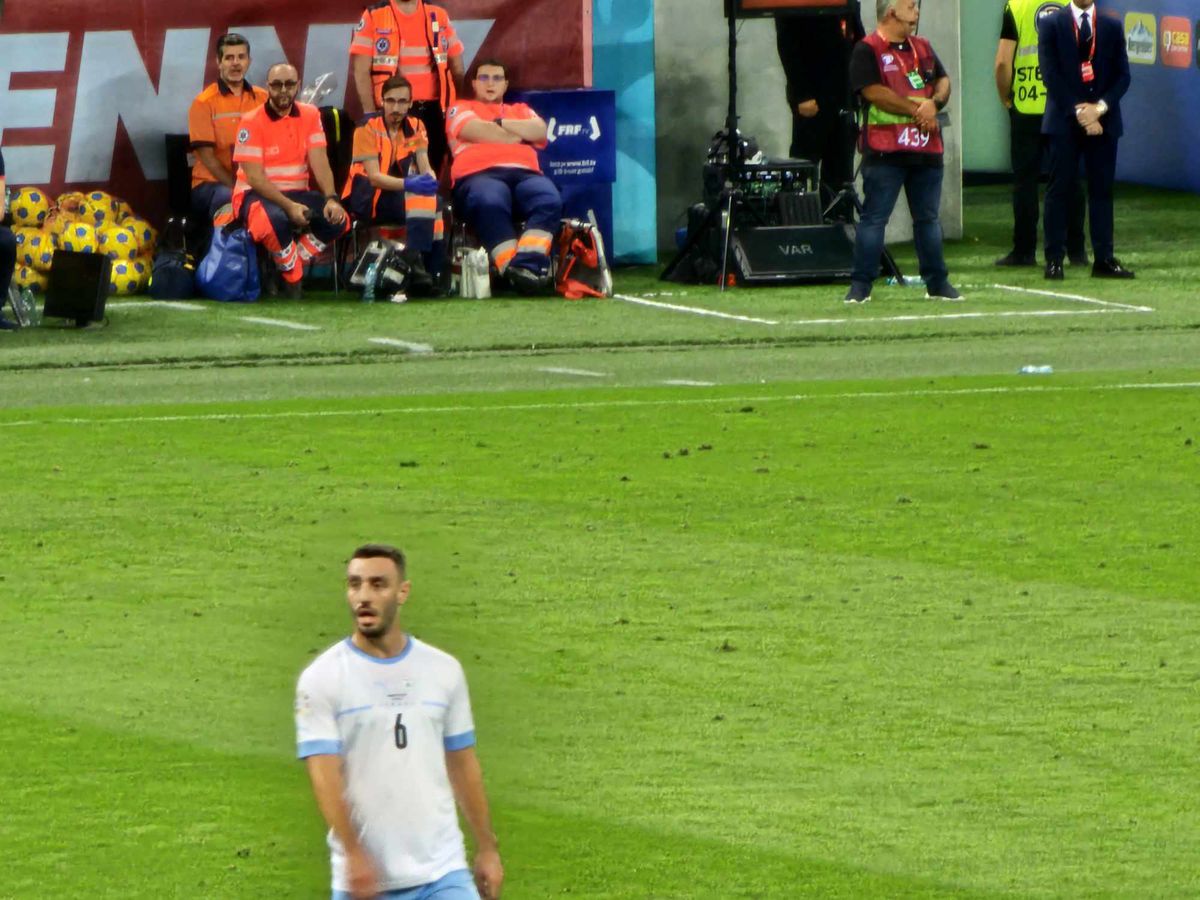 România - Israel » Gazon Arena Națională