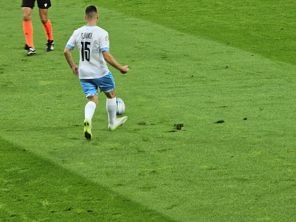 România - Israel » Gazon Arena Națională