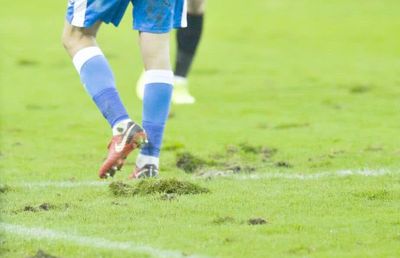 CS UNIVERSITATEA CRAIOVA // Sumă imensă pentru gazonul de pe „Ion Oblemenco”! Gazeta a avut dreptate