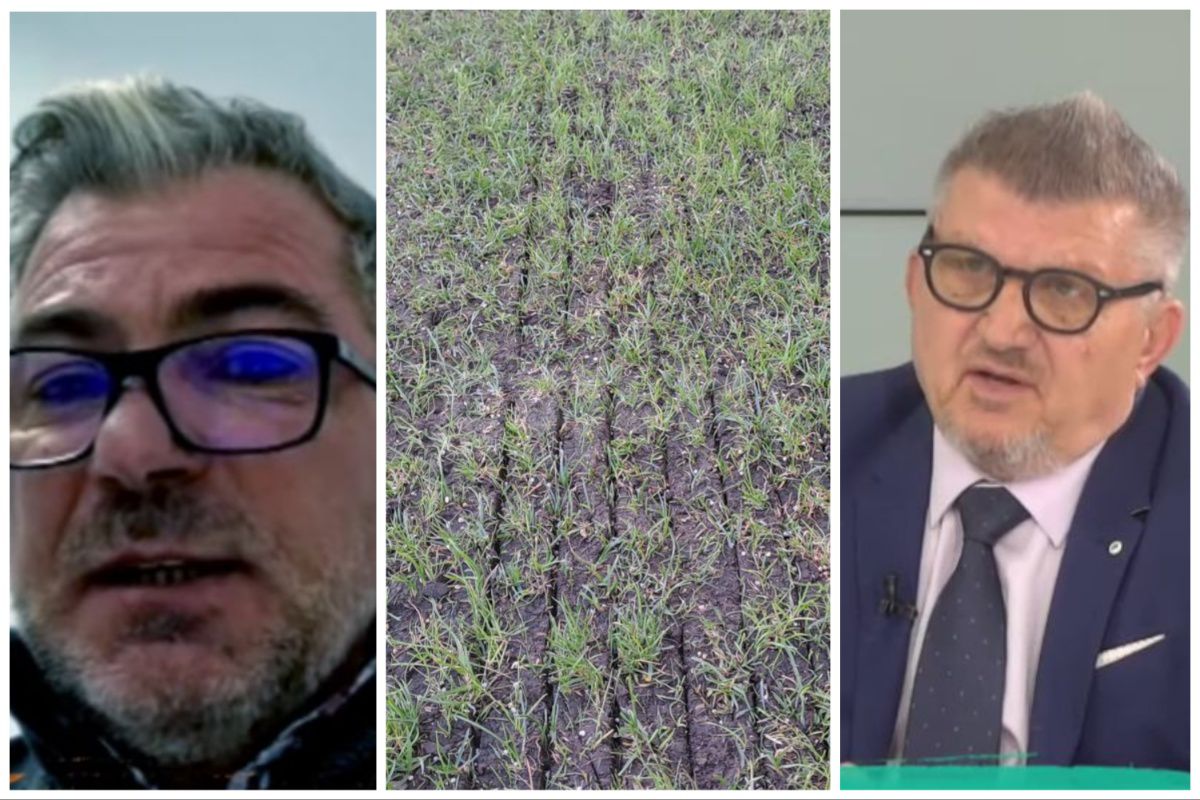 Acuzații grave: „Licitația de la Arcul de Triumf a fost ILEGALĂ, statul să intervină!” » Explicații pentru starea gazonului și ieșire val-vârtej din emisiune: „Eu sunt la alt nivel!”