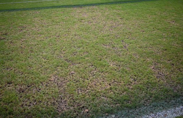 Marcel Nicolaescu și Stelian Dia, invitații zilei la GSP Live » 9 octombrie