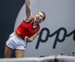 Halep revine în TOP 20 după duelul-maraton cu Paolini + Simona, felicitată de ambasadorul Romaniei în Austria