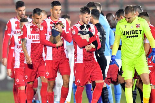 Dinamo e pe locul 15 în Liga 1 / Sursă foto: GSP