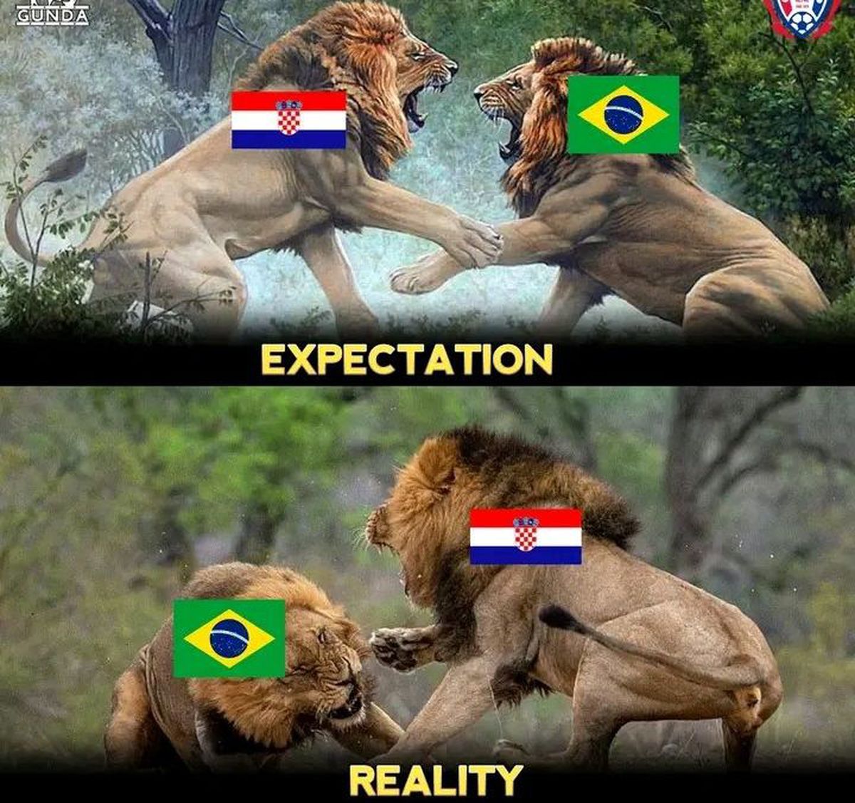 Glume Croatia - Brazilia