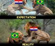 „Așteptări vs. Realitate”