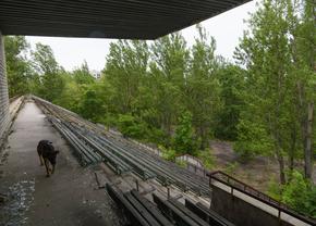 Explozie la centrala de la Cernobîl! La câțiva kilometri distanță, stadionul din Pripyat arată ca într-un film de groază