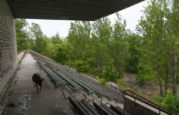Explozie la centrala de la Cernobîl! La câțiva kilometri distanță, stadionul din Pripyat arată ca într-un film de groază
