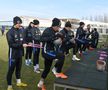 Antrenament FCSB-10 ianuarie
