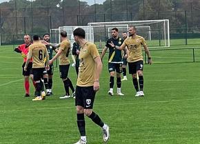FC Voluntari, incomodată de vreme și arbitru » Tamaș s-a certat cu centralul la pauză