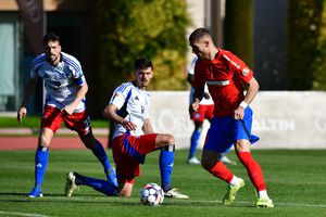 FCSB - Hamburg 0-1 » Gol marcat în minutul 12, după o acțiune spectaculoasă