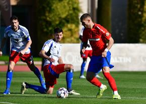 FCSB - Hamburg 0-1 » Gol marcat în minutul 12, după o acțiune spectaculoasă