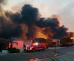 Incendiu Los Angeles/ Foto: Imago