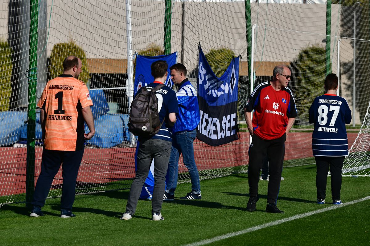 FCSB - Hamburg