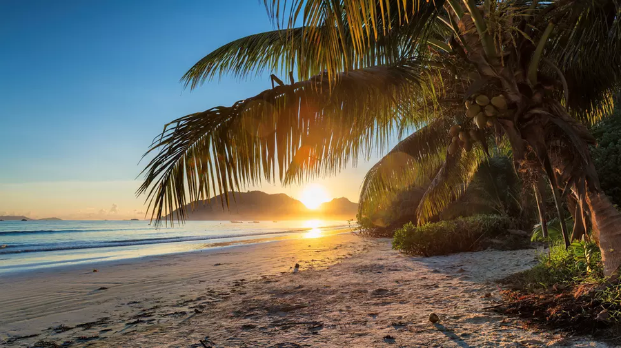 Interviu altfel cu puștiul-revelație din Liga 1: „Vin roșu, Mercedes și Las Vegas” + „Pe el l-aș mușca de gât dacă aș fi vampir”