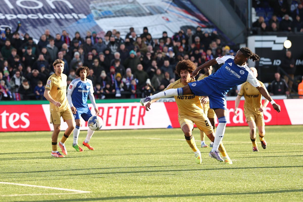 Crystal Palace a fost eliminată din Cupa Angliei // foto: Imago