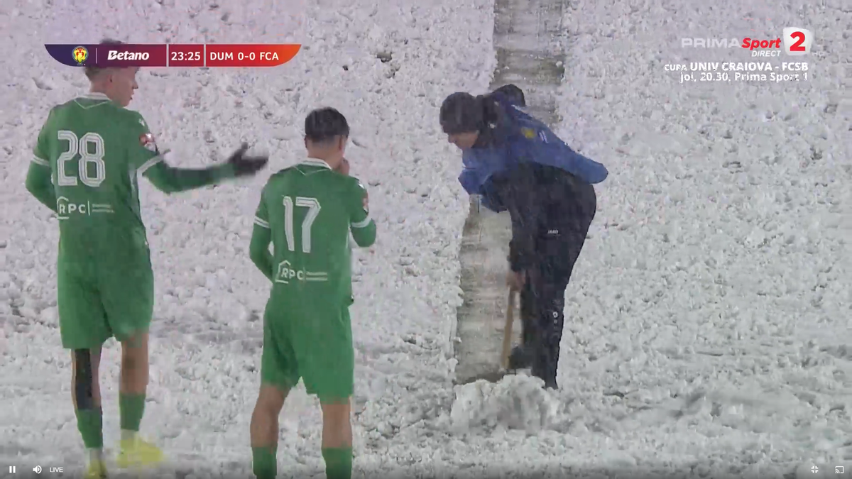 Dumbrăvița - FC Argeș, disputat pe zăpadă