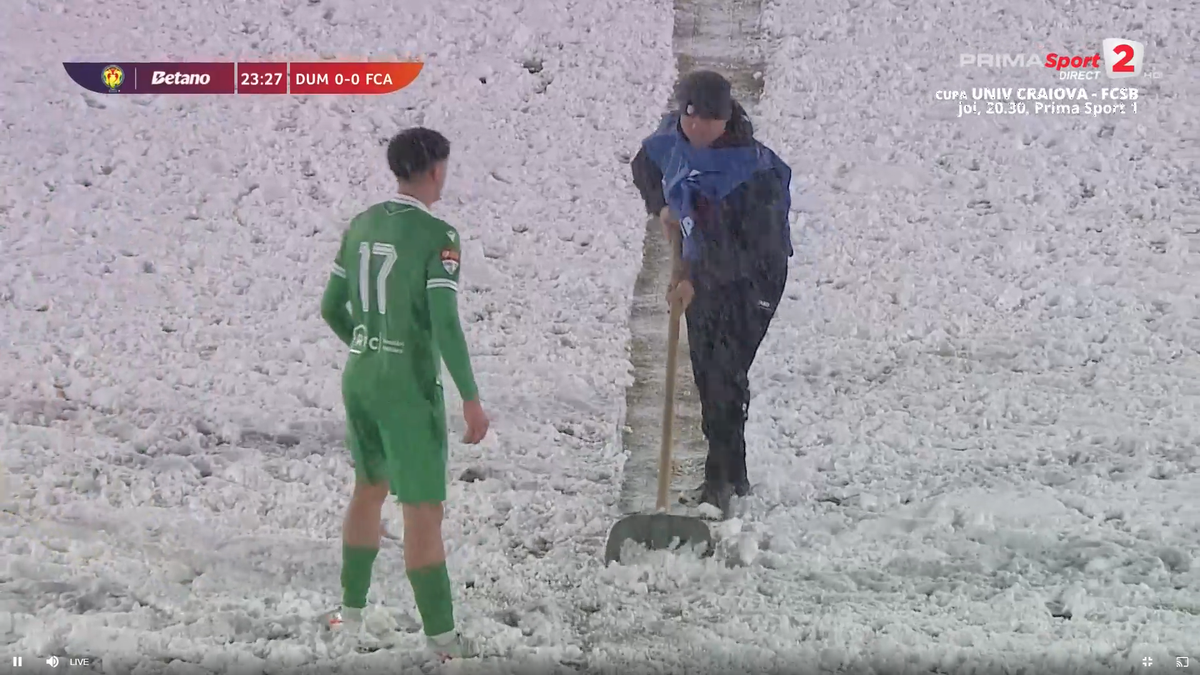 Dumbrăvița - FC Argeș, disputat pe zăpadă