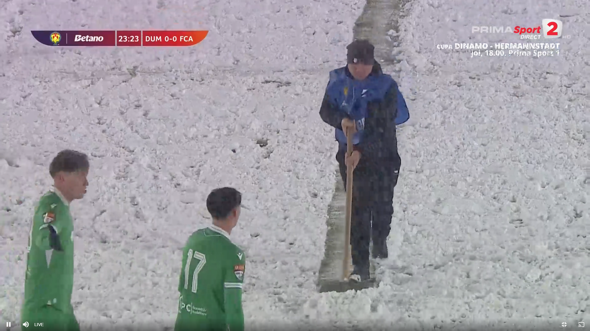 Dumbrăvița - FC Argeș, disputat pe zăpadă