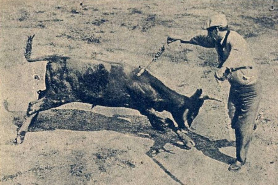 Cum i-au mâncat soldații taurii lui Tănase