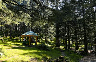 De ce ar trebui să investești într-un foișor pentru grădina ta?