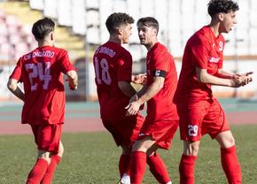 Promovare, asociere și derby-uri cu Steaua » Proiectul CS Dinamo, în trei pași simpli: încă un club departamental în Liga 2! Ce urmează