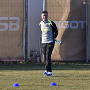 Mirel Rădoi, noul antrenor al campioanei FCSB