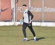 Mirel Rădoi, noul antrenor al campioanei FCSB