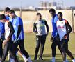 Mirel Rădoi a susținut primul antrenament la FCSB