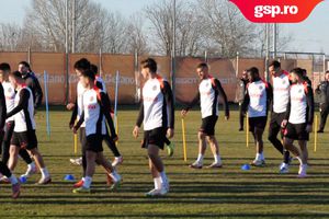 Mirel Rădoi a susținut primul antrenament la FCSB » Diferență MAJORĂ în pregătire