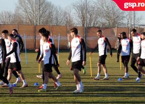 Mirel Rădoi a susținut primul antrenament la FCSB » Diferență MAJORĂ în pregătire