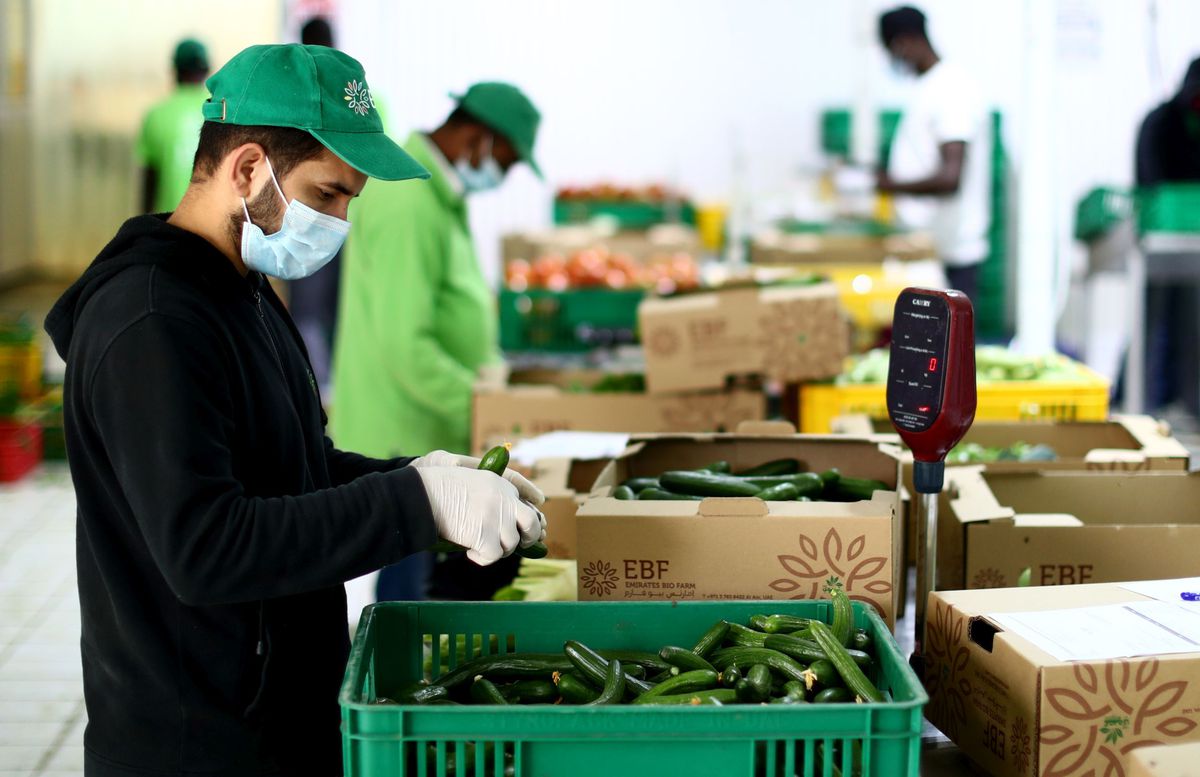 Spania: Atletico Madrid va fi „invitată” în viitoarea ediție a Ligii Campionilor dacă La Liga se va încheia prematur