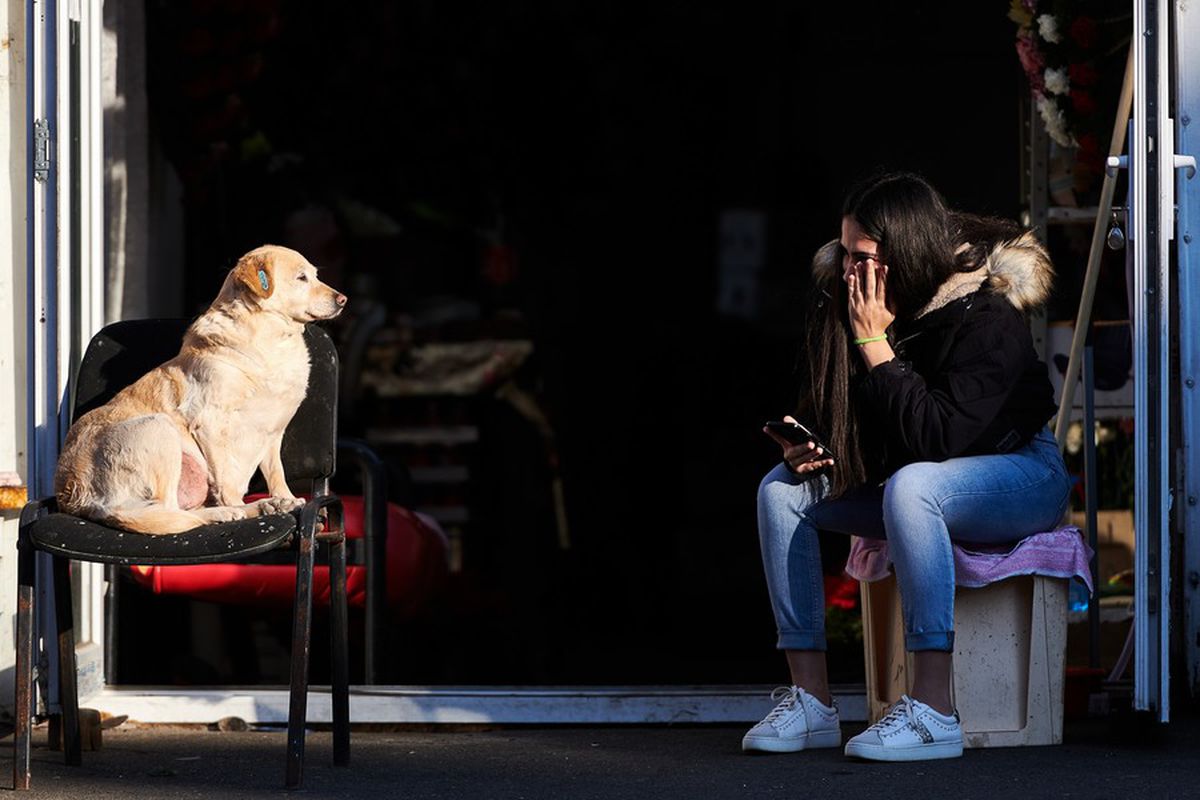 COVID-19. Americanii au analizat ce urmează pentru România » Când ar fi vârful pandemiei și când s-ar înregistra ultimul deces