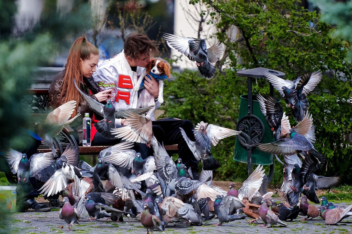 FCSB. Gigi Becali și-a schimbat strategia din nou! Anunțul făcut în direct la TV: „E mai ieftin așa”