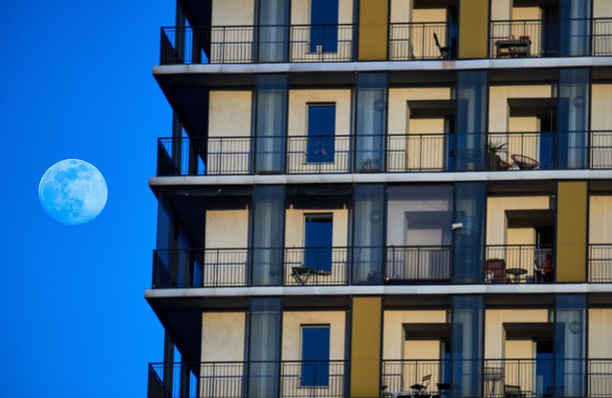 COVID-19. Data OFICIALĂ anunțată de LPF pentru reluarea Ligii 1: 5 iunie, fără spectatori!