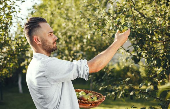 Ce arbusti fructiferi susţin sănătatea şi performanţă sportivilor?