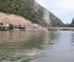 Bogdan Zurbagiu, înotător pe distanțe lungi în ape deschise
