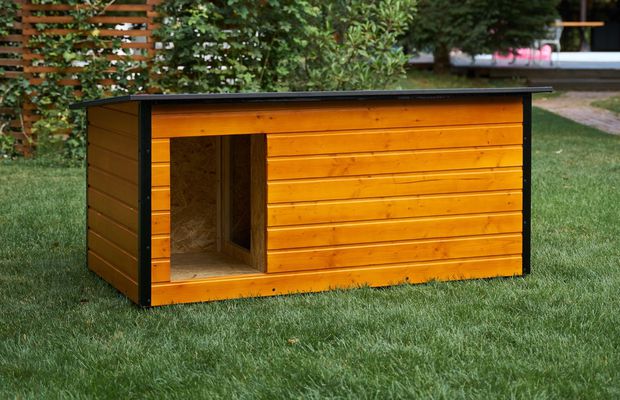 Top 10 greșeli de evitat când cumperi o cușcă pentru câine