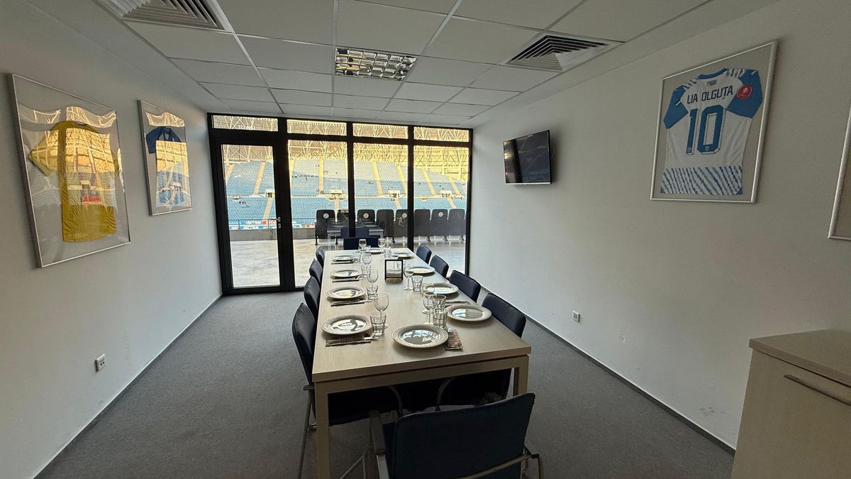 Cum arată loja pe care primarul Lia Olguța Vasilescu o are la stadionul din Craiova! Ce a agățat pe pereți