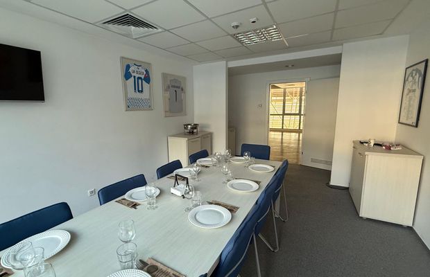 Cum arată loja pe care primarul Lia Olguța Vasilescu o are la stadionul din Craiova! Ce a agățat pe pereți