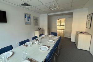 Cum arată loja pe care primarul Lia Olguța Vasilescu o are la stadionul din Craiova! Ce a agățat pe pereți