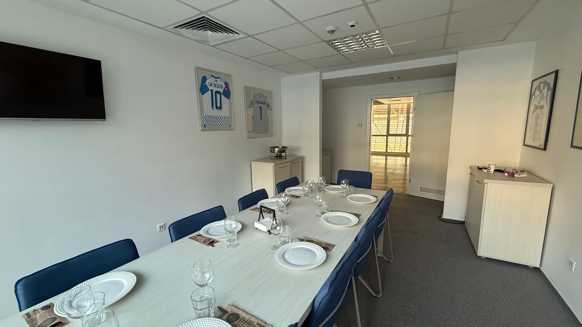 Cum arată loja pe care primarul Lia Olguța Vasilescu o are la stadionul din Craiova! Ce a agățat pe pereți