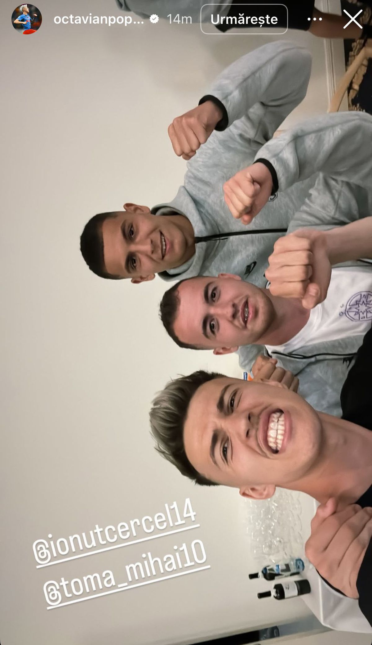 Daniel Bîrligea a postat o imagine rasistă: un berbec campion, doi câini dresați și trei păsări