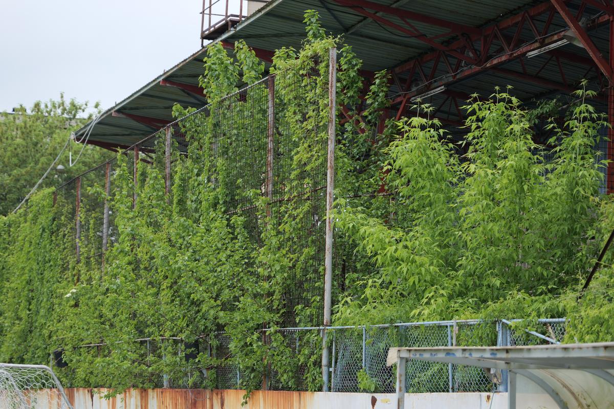 Stadion „Astra”, Ploiești // foto: Andrei Furnigă (GSP)